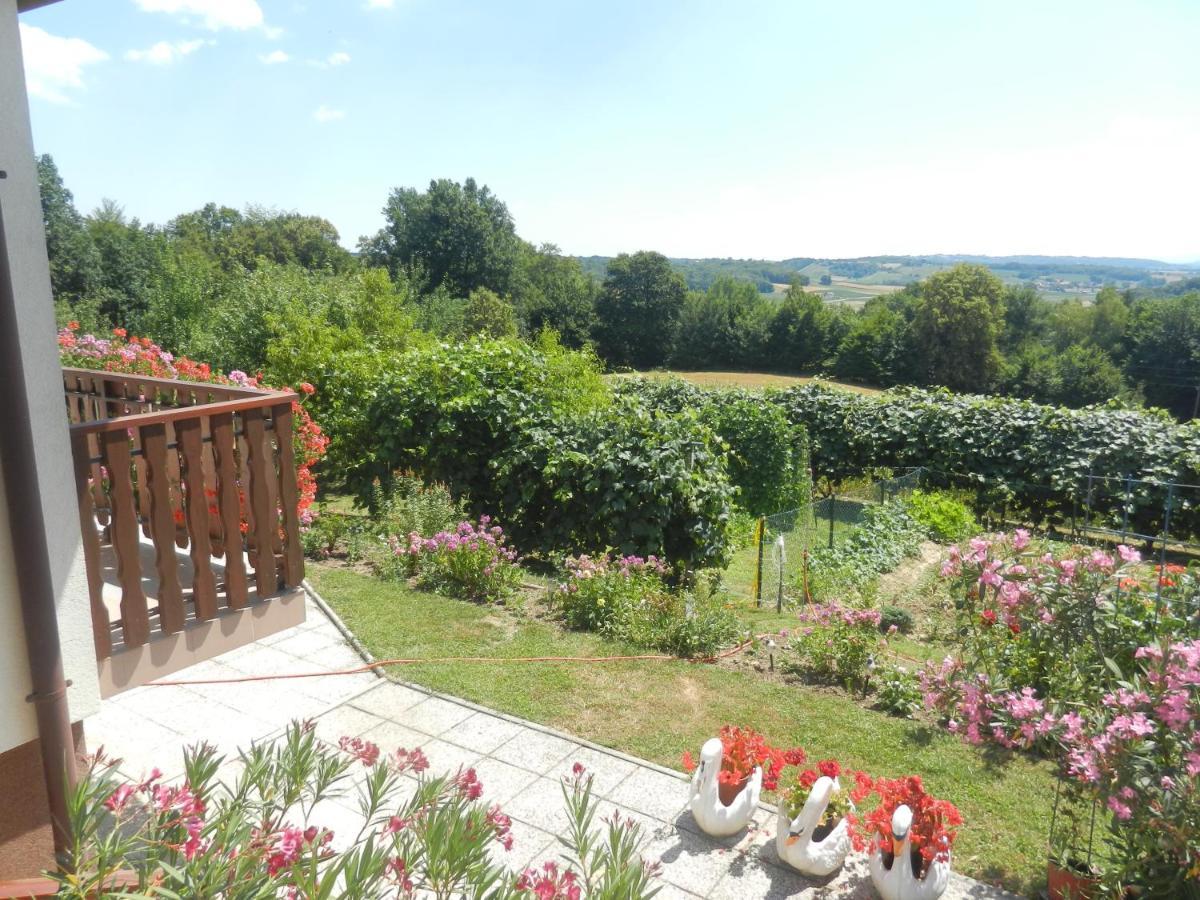 Urlaub Fuer Die Seele - Erholung Pur In Der Natur - Ferienhaus Mit Infrarotkabine & Relax-Raum Rucmanci Экстерьер фото