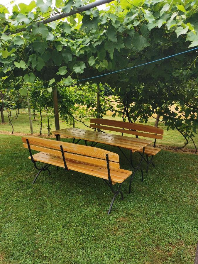 Urlaub Fuer Die Seele - Erholung Pur In Der Natur - Ferienhaus Mit Infrarotkabine & Relax-Raum Rucmanci Экстерьер фото